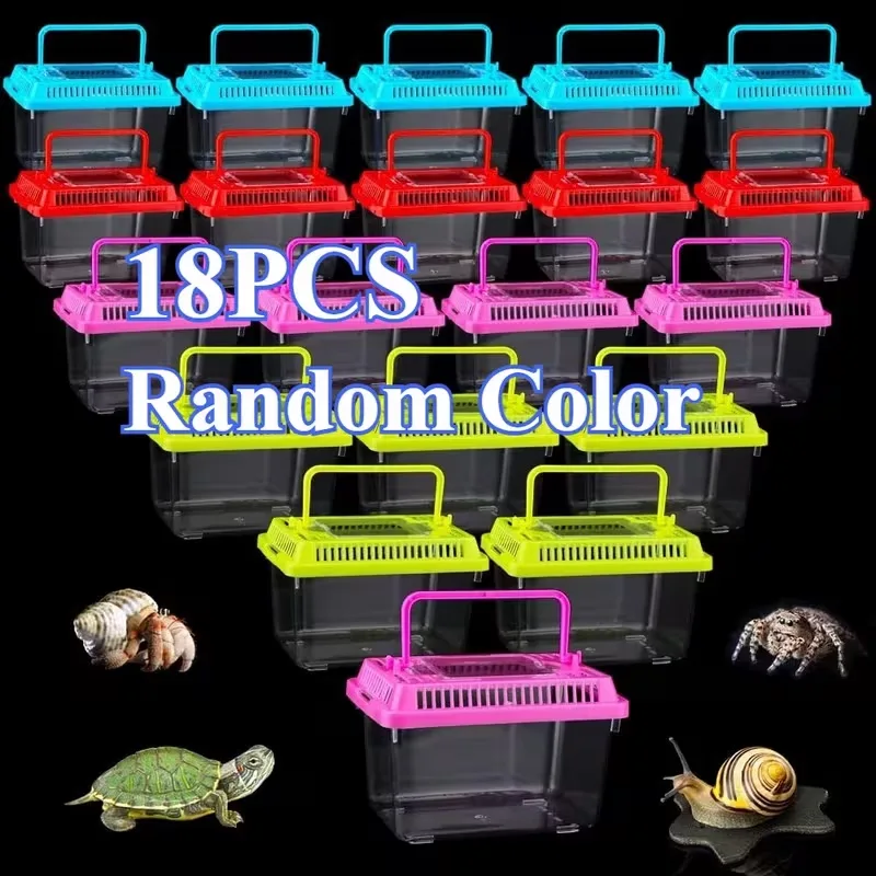 Reptile Breeding