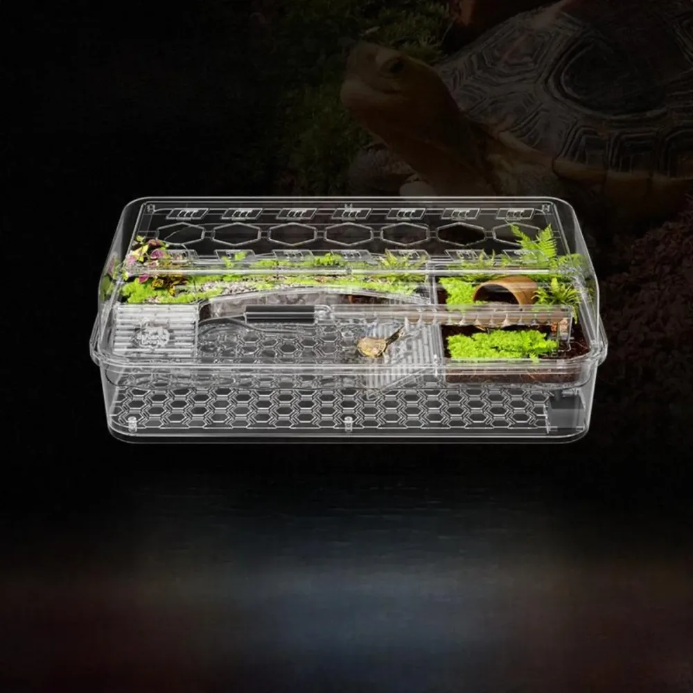 Reptile Care green