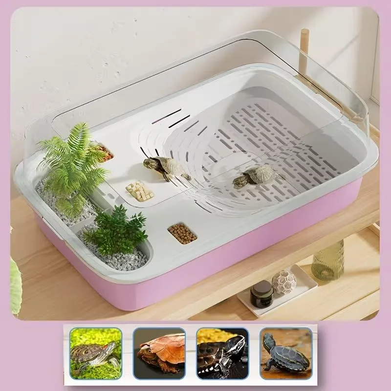 Reptile Terrarium