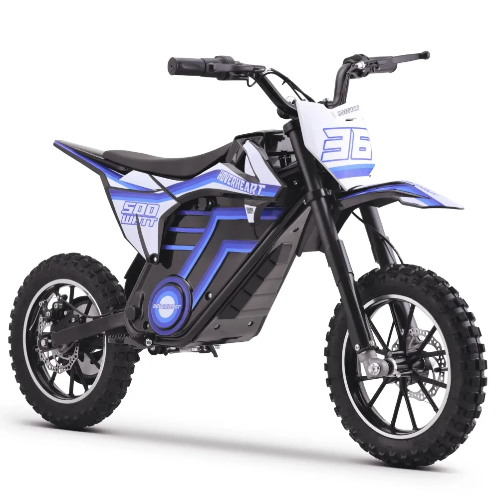 Dirt Bikes 500w red blue