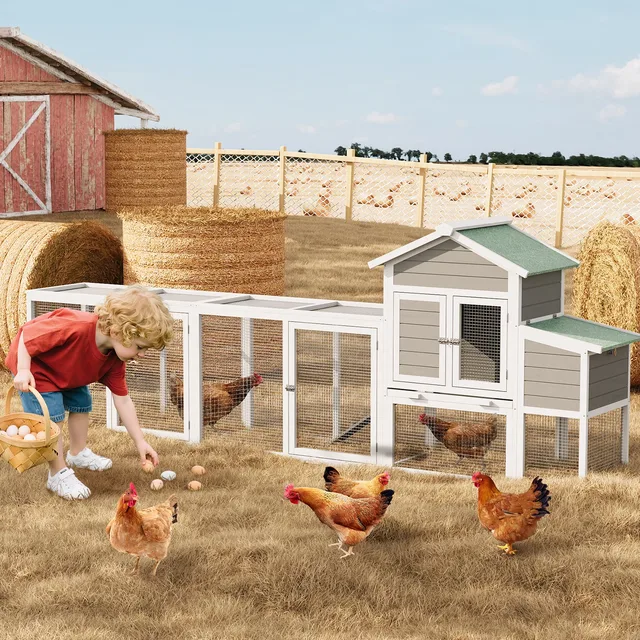 Chicken Coop 123" 16.40in 73.00lbs