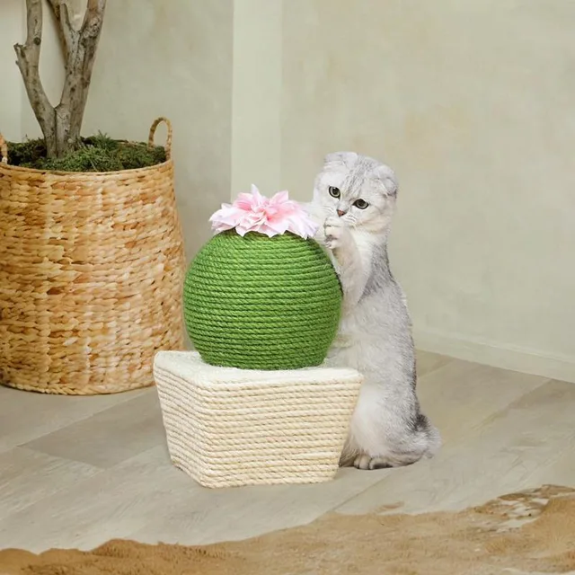 Cat Toy green