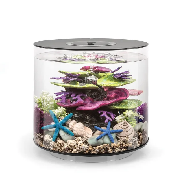 Standard Light 4 gallon black led