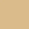 Canopy Tent 10ft 8' beige
