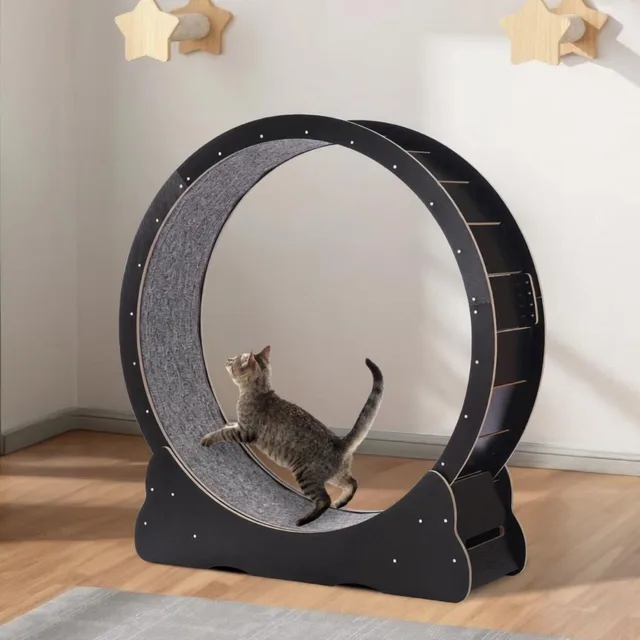 Cat Treadmill 43.3 in black 123.6 inches