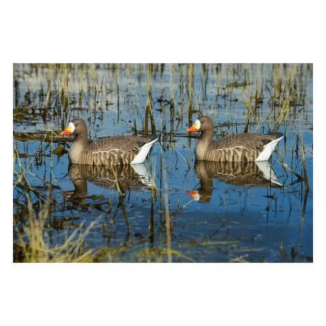 Hunting Gear 4 pack 18 in green