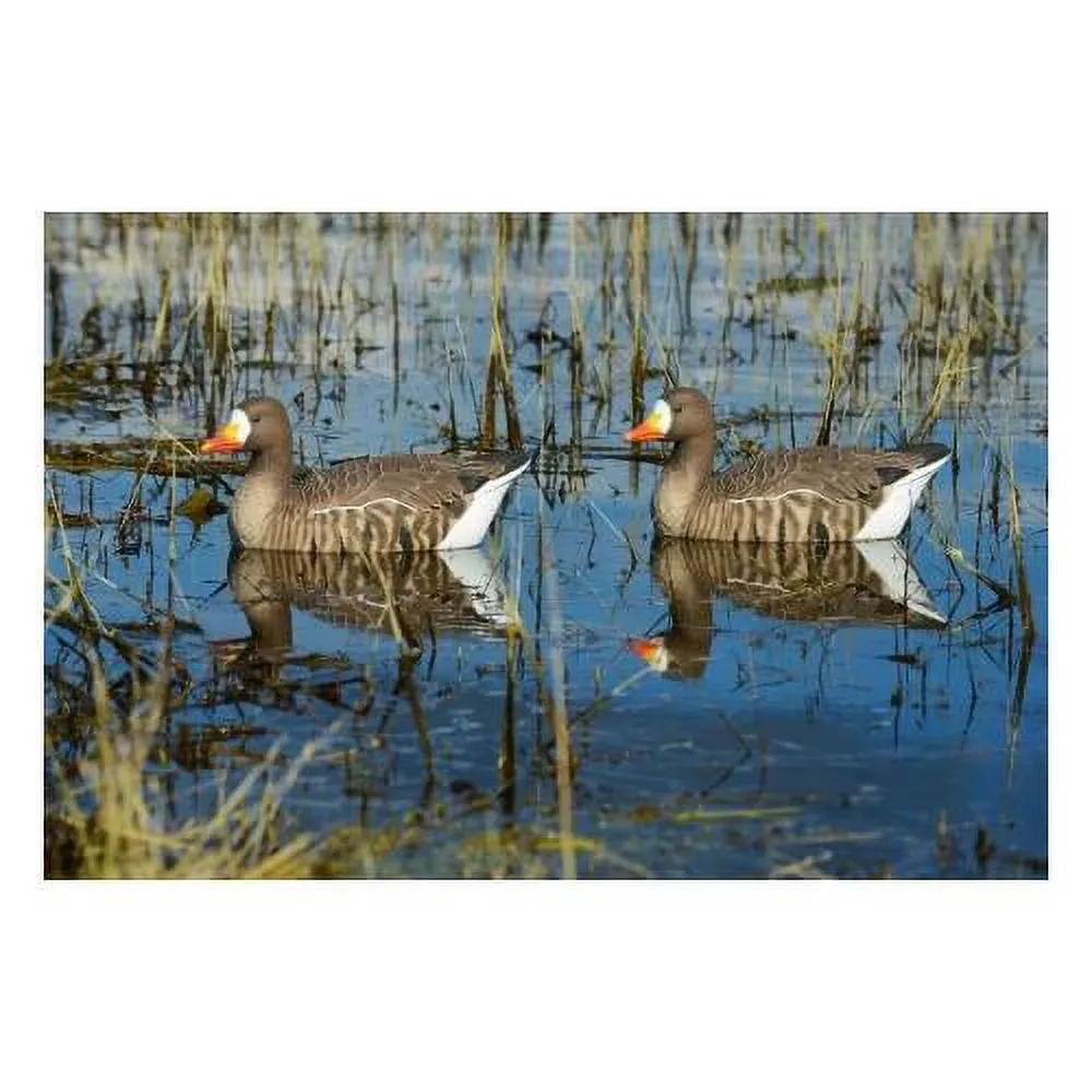 Hunting Gear 4 pack 18 in green