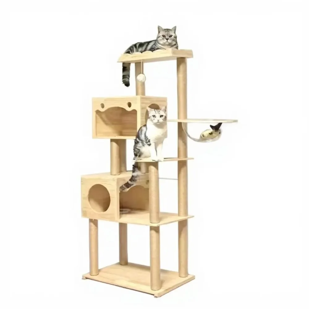 Furniture & Enrichment