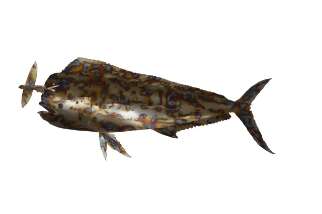 Lures & Bait 39" 2" 12"