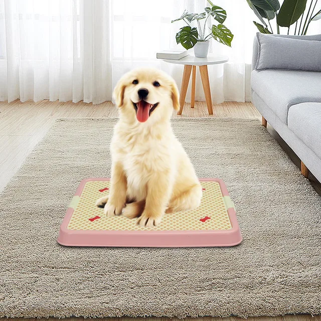 Cleaning 5cm 4.8 lb portable