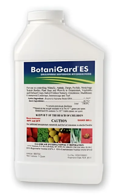 Insecticide 1 quart 2 quart 2 quarts