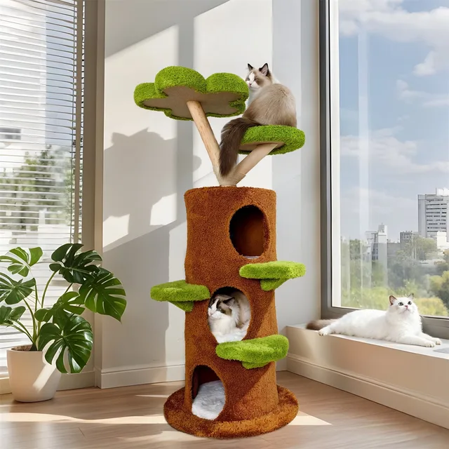 Furniture & Enrichment 58.27"
