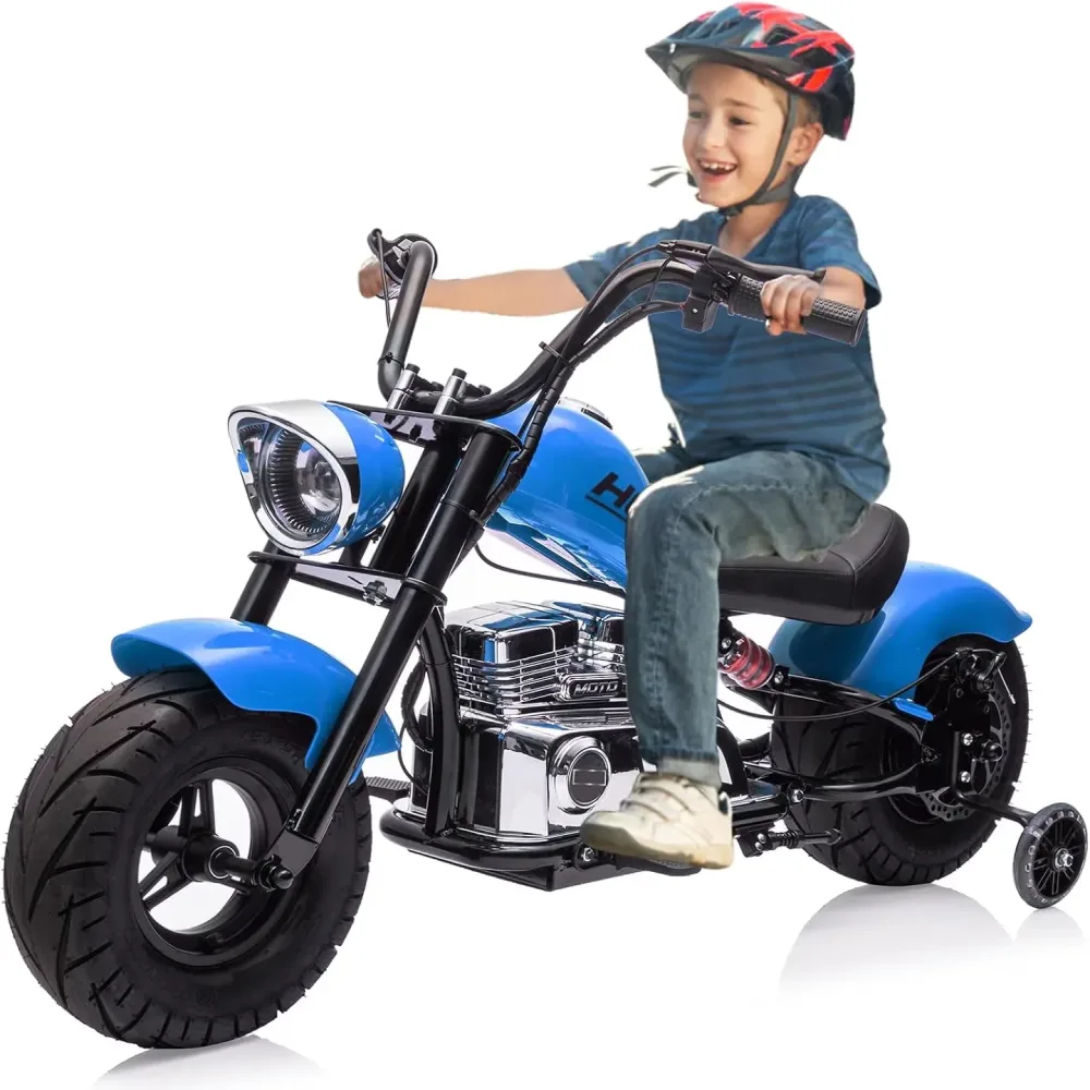 Dirt Bike 36v 350w 176 lbs