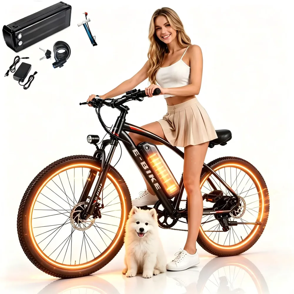 Electric Bike 48v 750w black