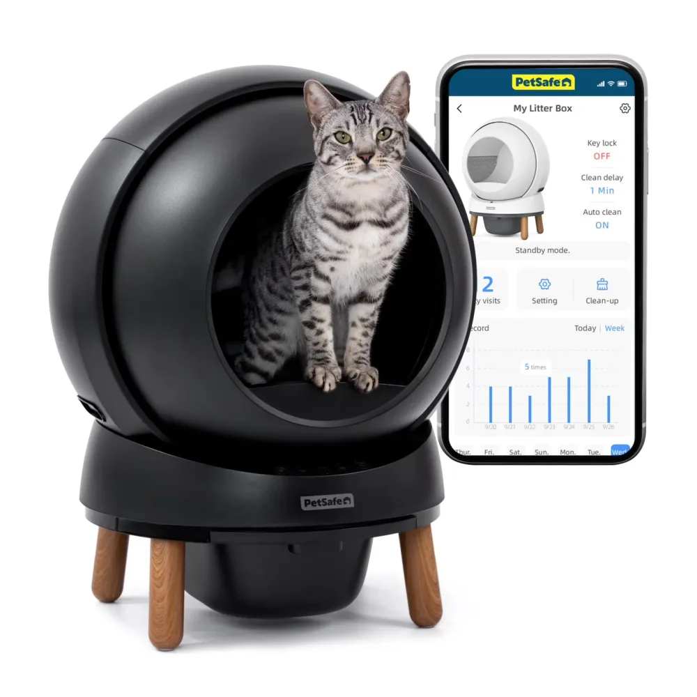 Cat Litter black