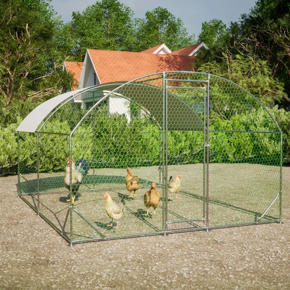 Chicken Coop 9.84' 12' 56'