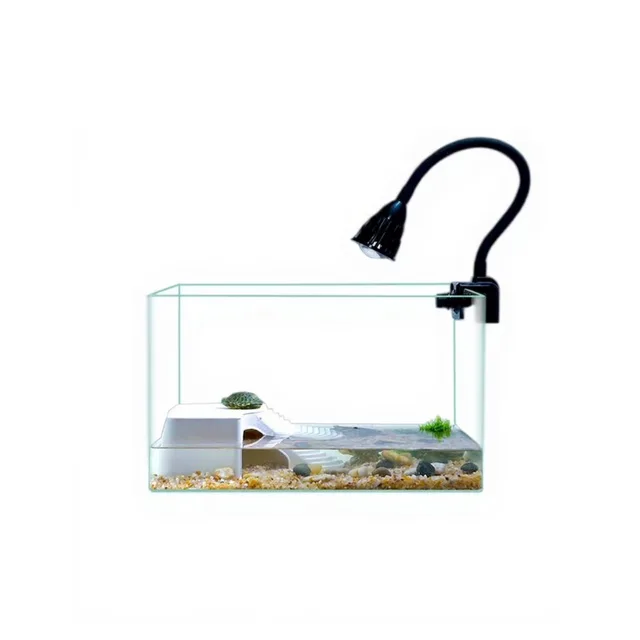 Turtle Tank