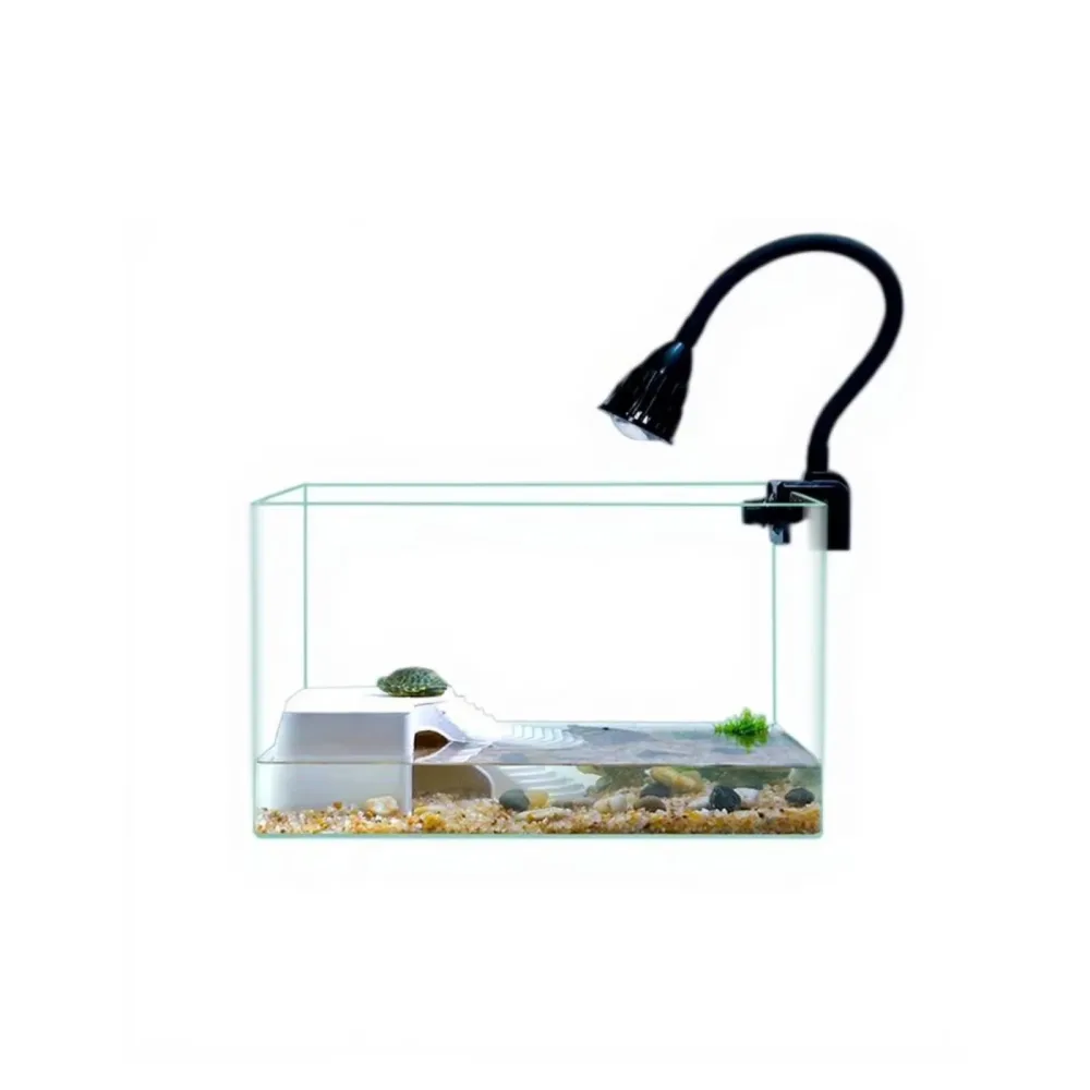 Turtle Tank