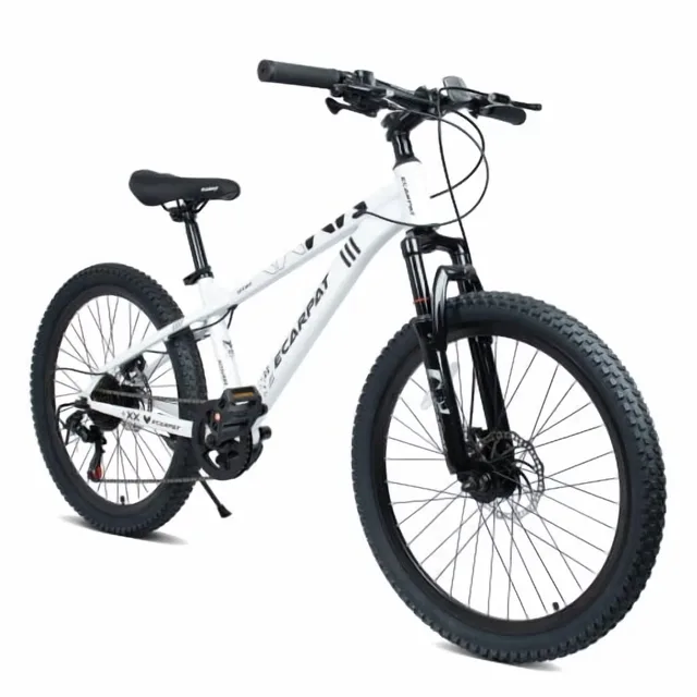 Mountain Bike 24 inch 24 in silver