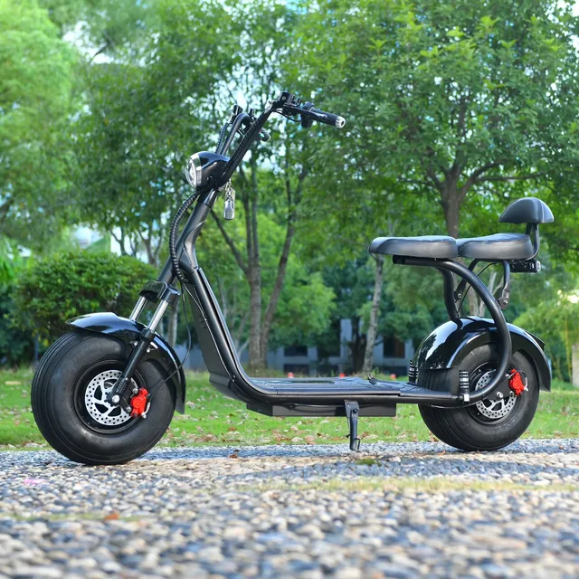 Fat Tire 18 inch 3000w 440 lbs