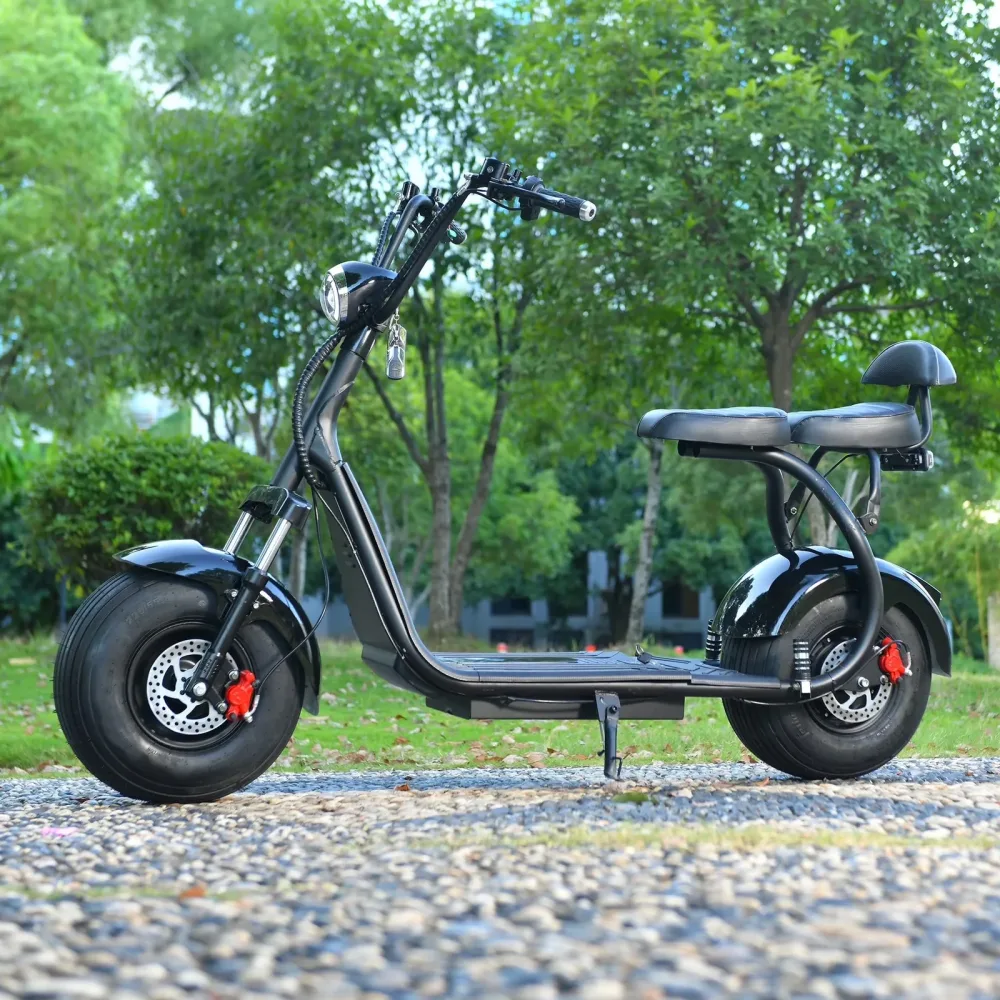 Fat Tire 18 inch 3000w 440 lbs