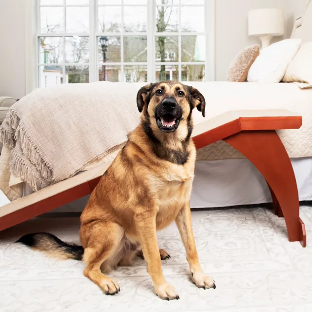 Bed 25" 120 lbs 70"