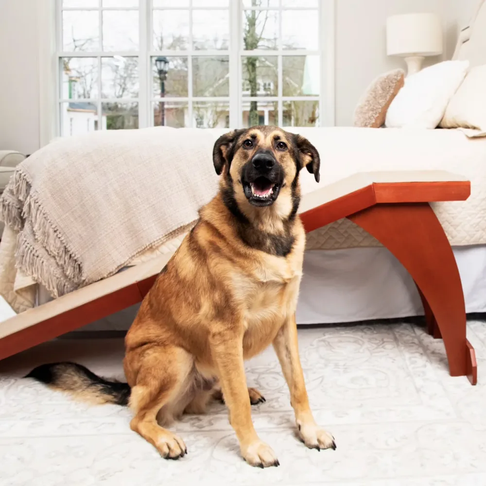 Bed 25" 120 lbs 70"