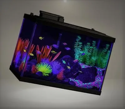 Filter 20 gallon led 13"