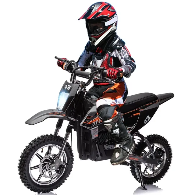 Motorcycle 36v 350w 500w