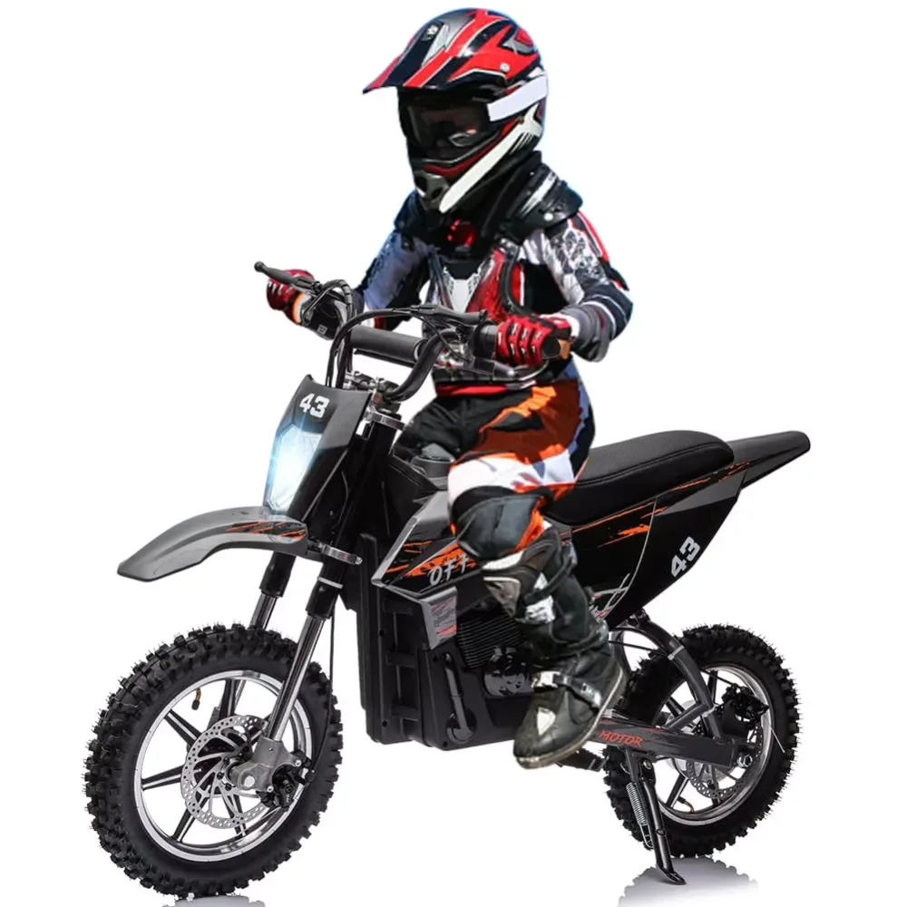 Motorcycle 36v 350w 500w