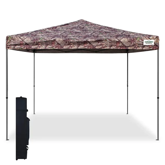 Canopy 10 ft