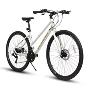 Hybrid Bike