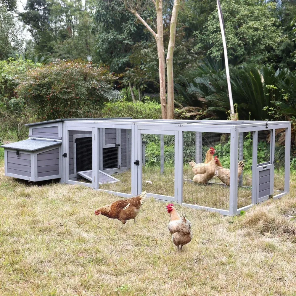 Chicken Coop 103" 67" 28"