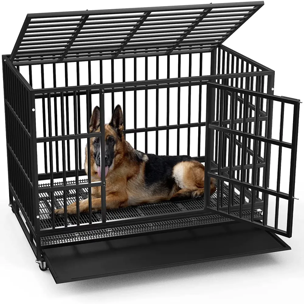 Dog Crate