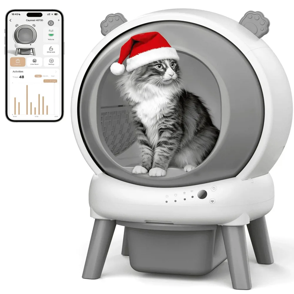 Cat Litter grey