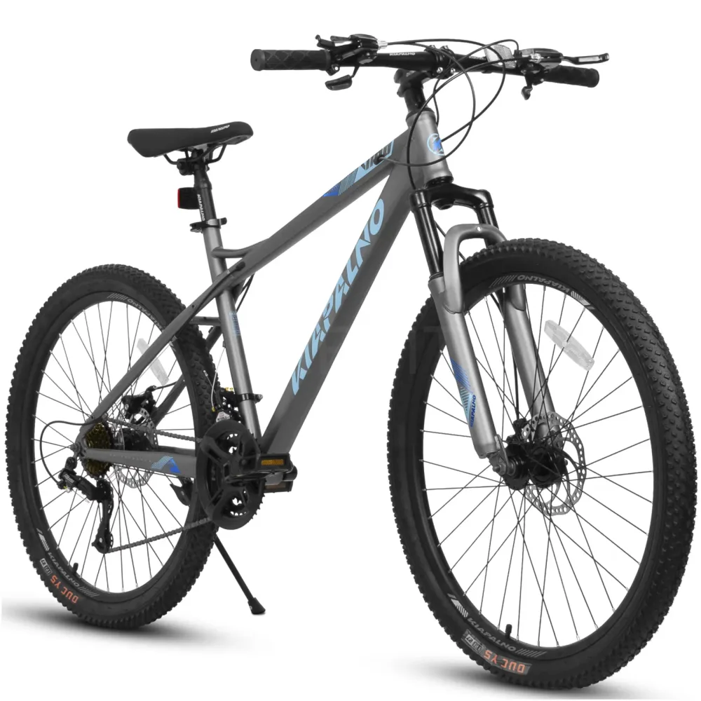 Mountain Bike 26 inch blue grey