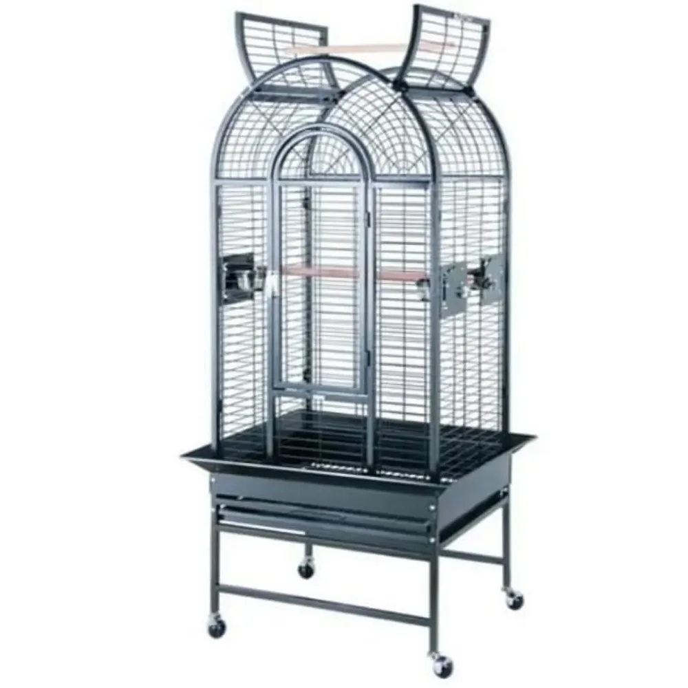 Bird Care 22 in 0.75 in 22"