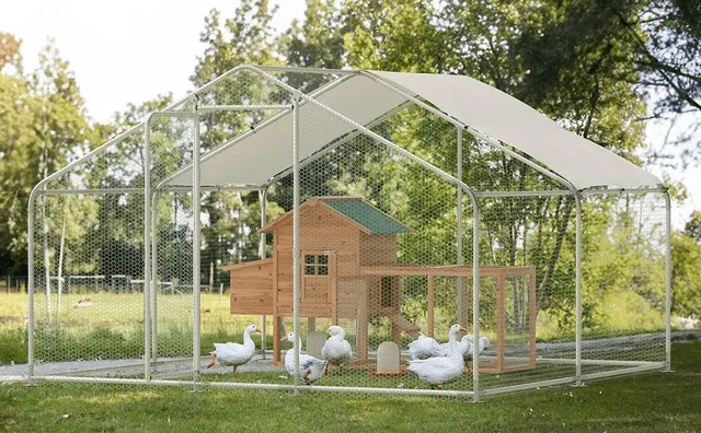 Chicken Coop 6 ft 80" 80.75"