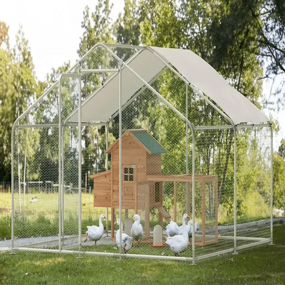 Chicken Coop 6 ft 80" 80.75"