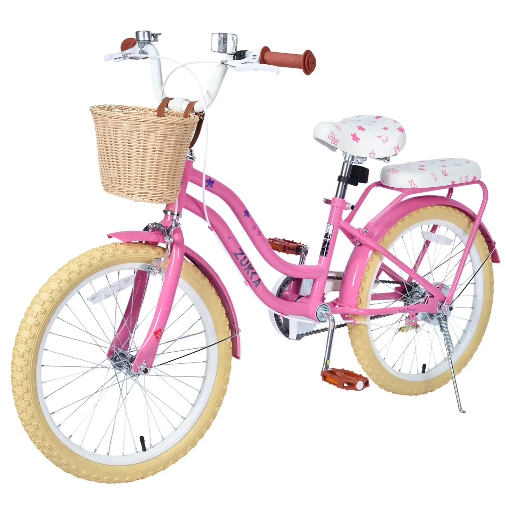 Bike 20 inch
