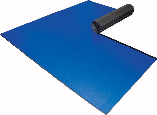 Training Mats 10' 25" blue