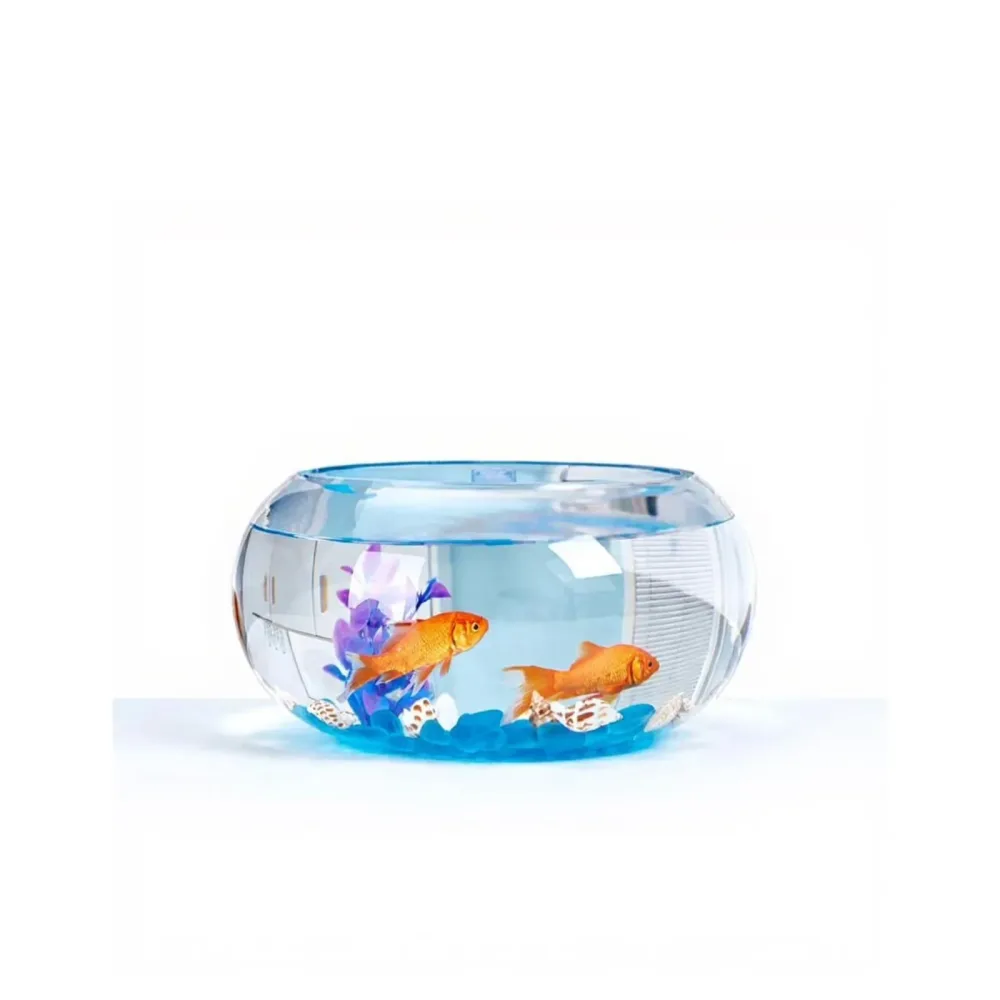 Fish Bowl