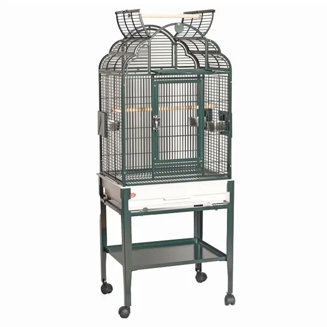 Bird Care 17 in green 22"