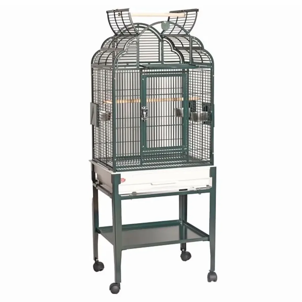 Bird Care 17 in green 22"