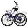Cruiser Bike 20 inch foldable 350 lbs