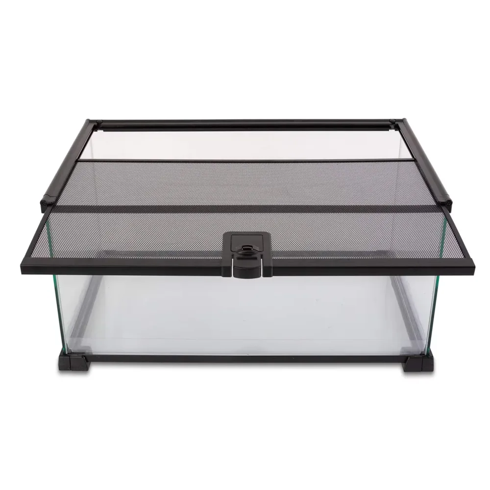 Reptile Terrarium 10 gallon 5.39 inches