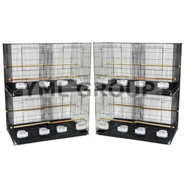 Bird Care 5 in black white