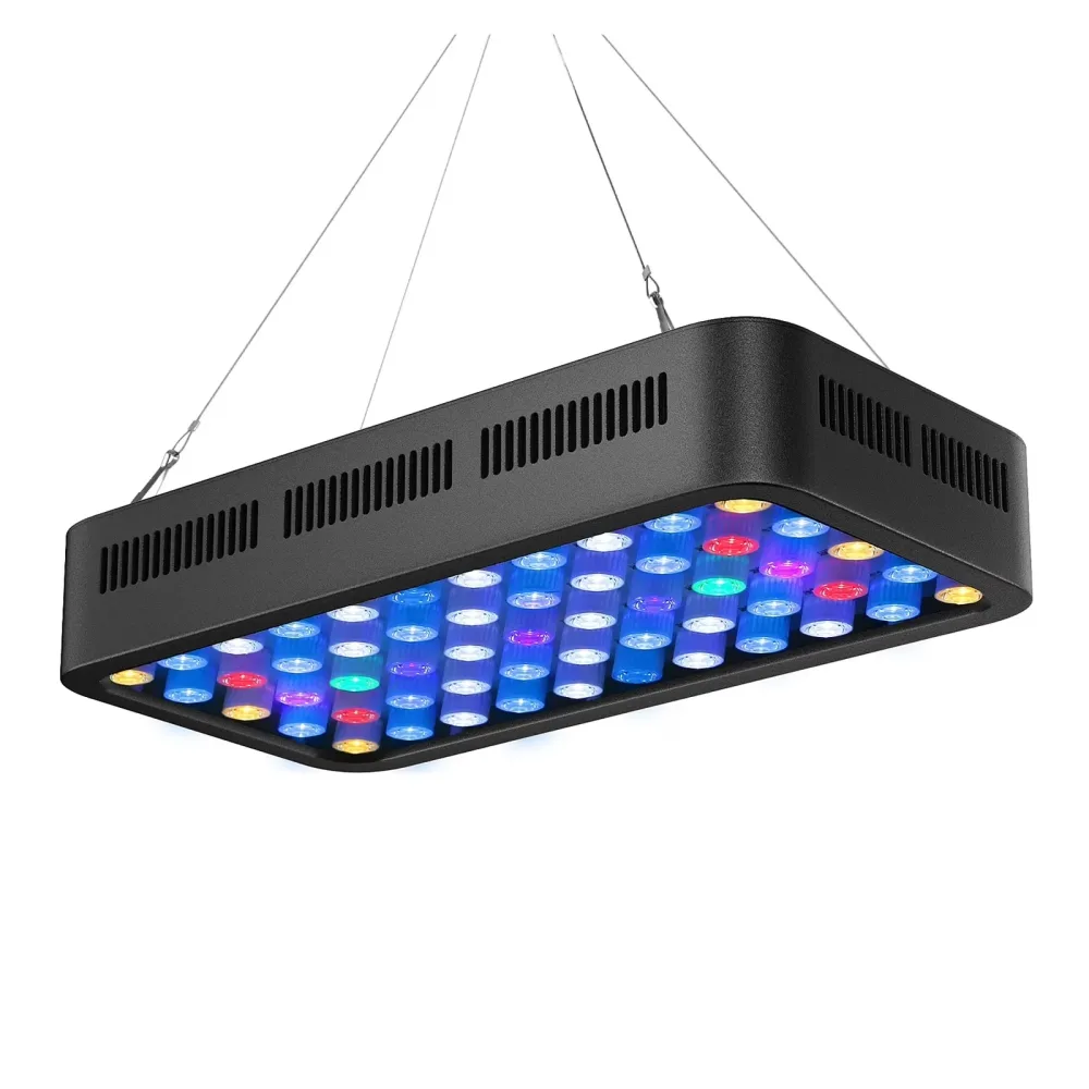 Reef Tank 165w led 2watt