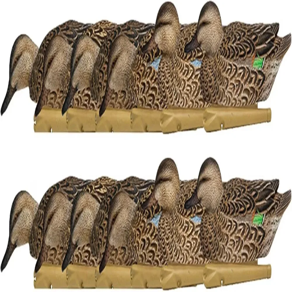 Hunting 6 pack 10 inches green