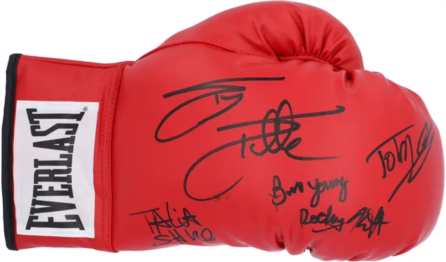 Boxing Glove